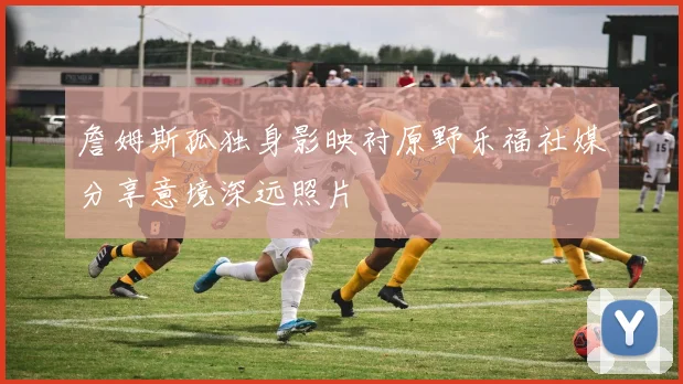 詹姆斯孤独身影映衬原野乐福社媒分享意境深远照片